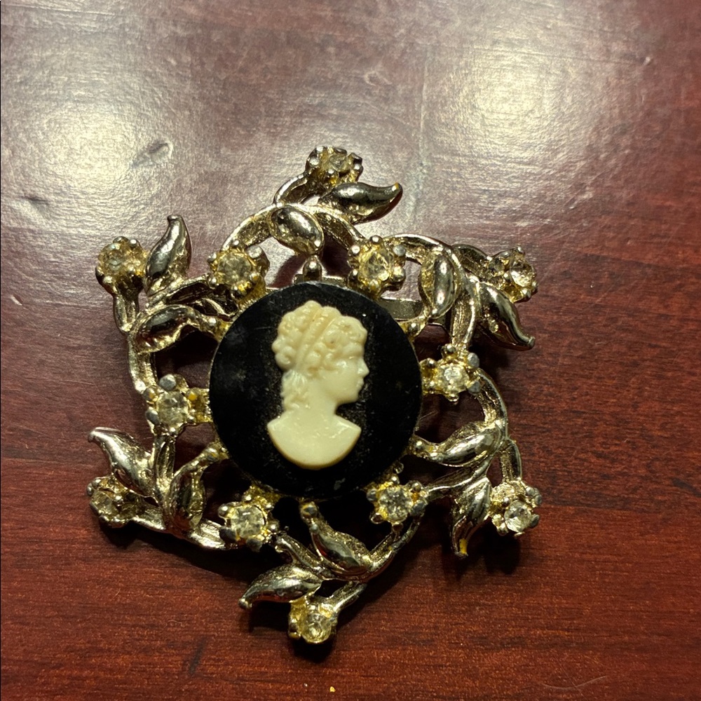 Elegant Silver and Black Cameo Brooch